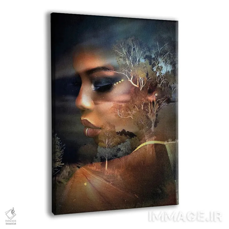 تابلو دکوراتیو فرود شب اثر دومینیک بادوئل - نمای پرسپکتیو محصول