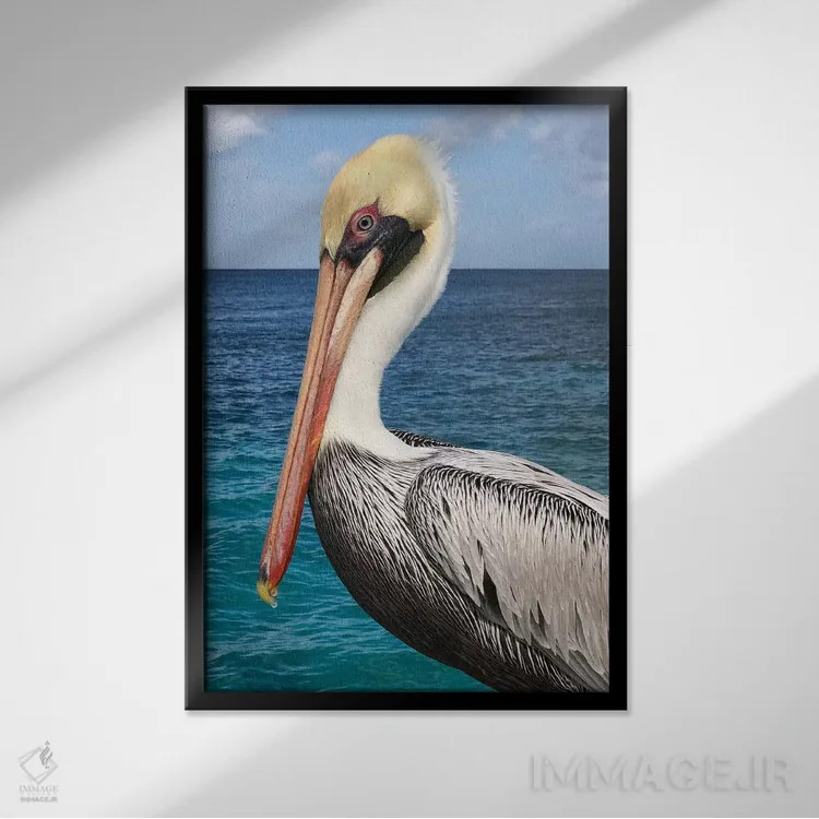 تابلو دکوراتیو پلیکان اثر جولی دریسه - نمای قابدار مشکی