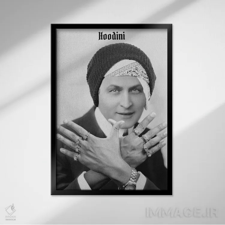 تابلو دکوراتیو هوباوری اثر ادز لیبیتوم - نمای قابدار مشکی