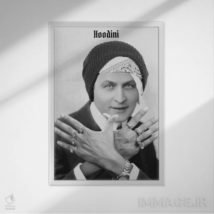 تابلو دکوراتیو هوباوری اثر ادز لیبیتوم - نمای قابدار سفید