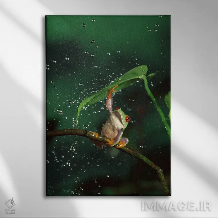 تابلو دکوراتیو قورباغه درختی با چشم قرمز در باران اثر مایکل دورهام - نمای روبهرو روی دیوار