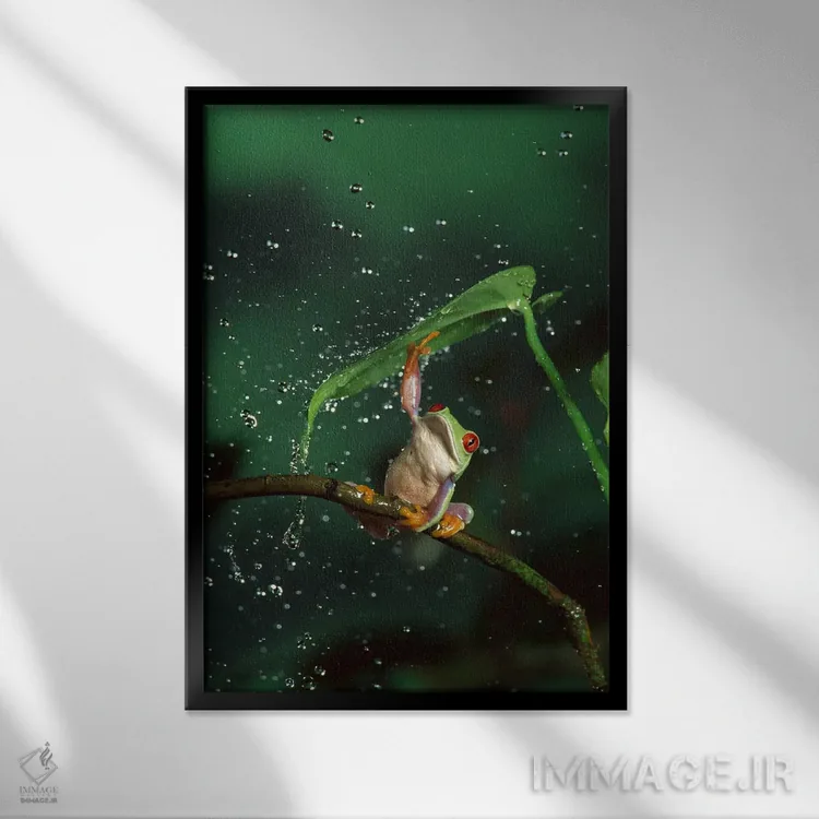تابلو دکوراتیو قورباغه درختی با چشم قرمز در باران اثر مایکل دورهام - نمای قابدار مشکی