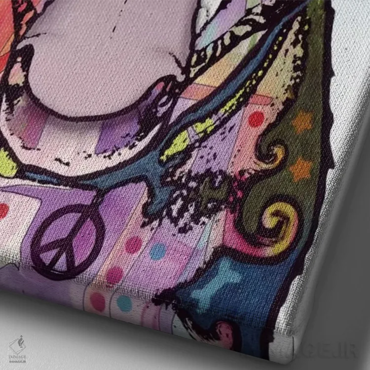 تابلو دکوراتیو لبخند اثر باور روسو - نمای نزدیک بافت بوم