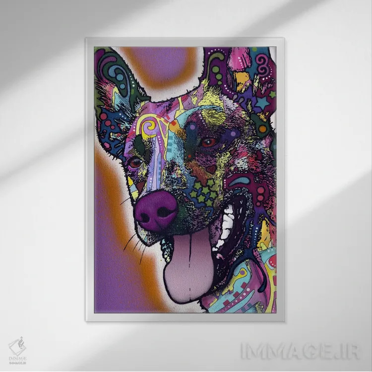 تابلو دکوراتیو مالینویز اثر باور روسو - نمای قابدار سفید