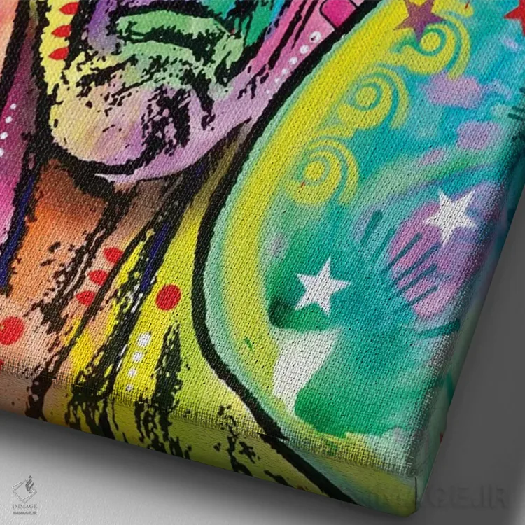 تابلو دکوراتیو بیگانه اثر باور روسو - نمای نزدیک بافت بوم