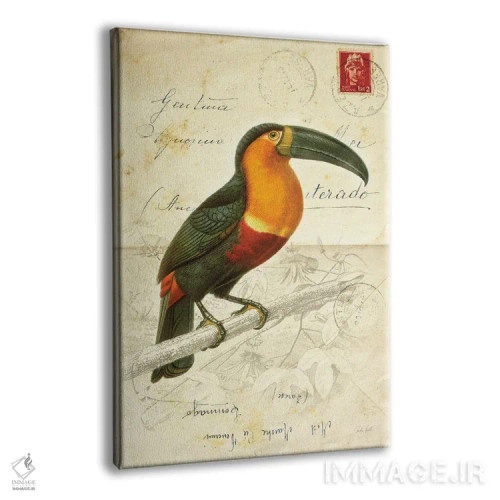 تابلو دکوراتیو پرنده زیبا ۱ اثر دبورا رول - نمای پرسپکتیو محصول