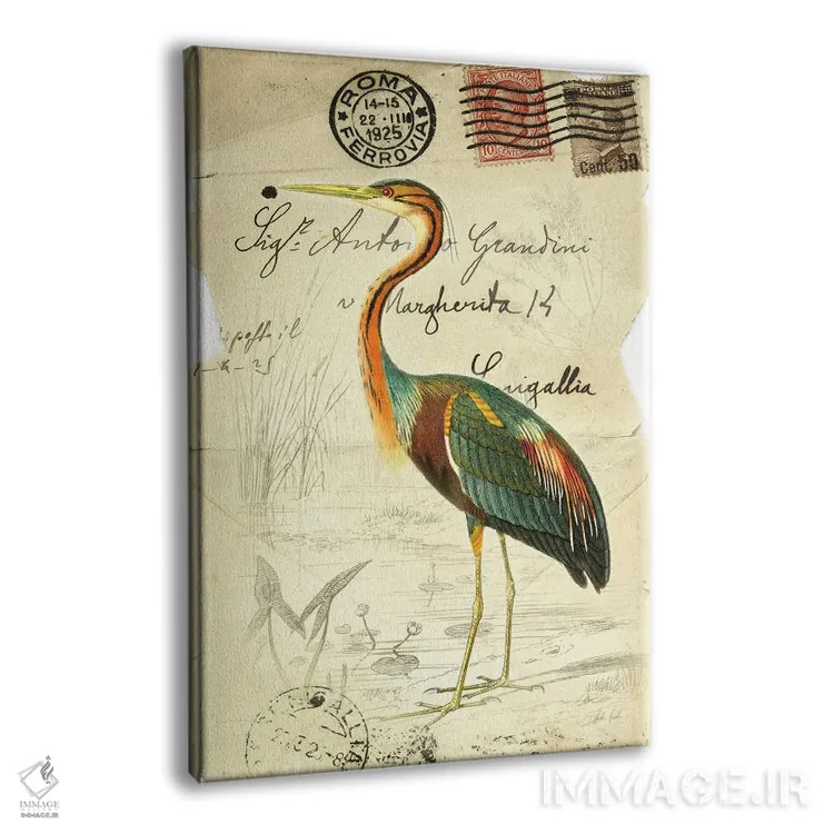 تابلو دکوراتیو پرنده زیبا ۲ اثر دبورا رول - نمای پرسپکتیو محصول