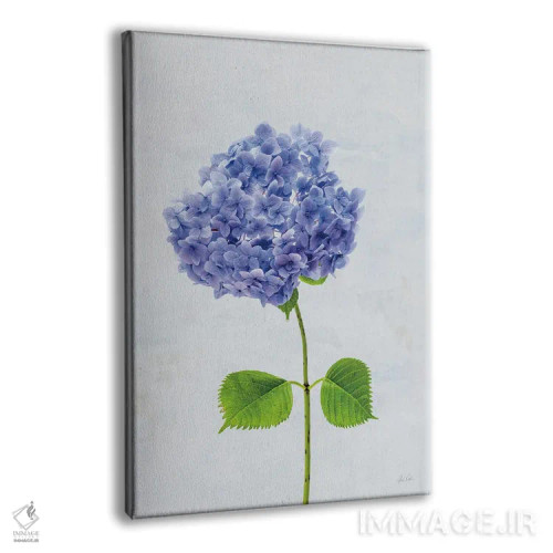 تابلو مینیمال هورتانس کیپ کاد ۱ اثر دبورا رول - نمای پرسپکتیو محصول