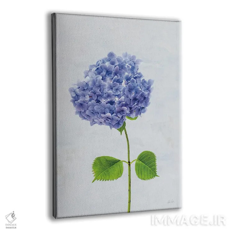 تابلو مینیمال هورتانس کیپ کاد ۱ اثر دبورا رول - نمای پرسپکتیو محصول