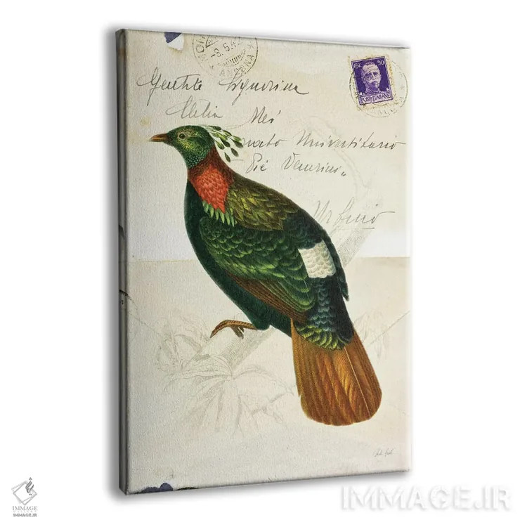 تابلو دکوراتیو پرنده زیبا ۴ اثر دبورا رول - نمای پرسپکتیو محصول