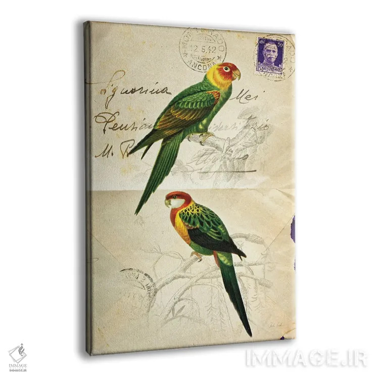 تابلو دکوراتیو پرنده زیبا ۳ اثر دبورا رول - نمای پرسپکتیو محصول