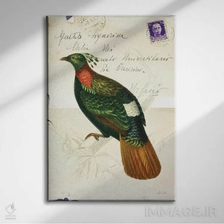 تابلو دکوراتیو پرنده زیبا ۴ اثر دبورا رول - نمای روبهرو روی دیوار