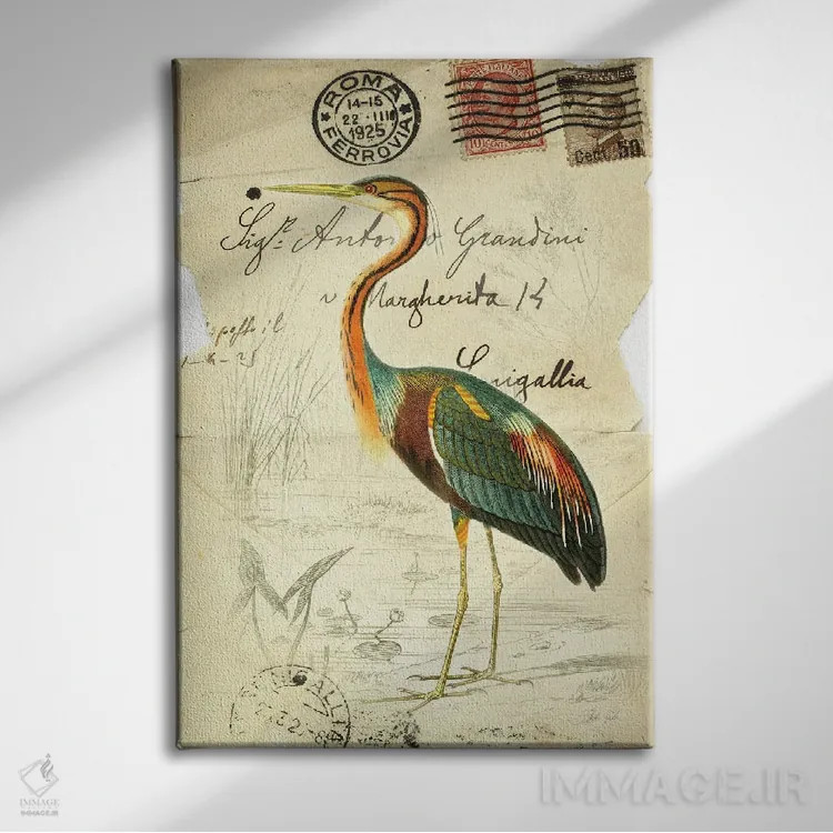 تابلو دکوراتیو پرنده زیبا ۲ اثر دبورا رول - نمای روبهرو روی دیوار