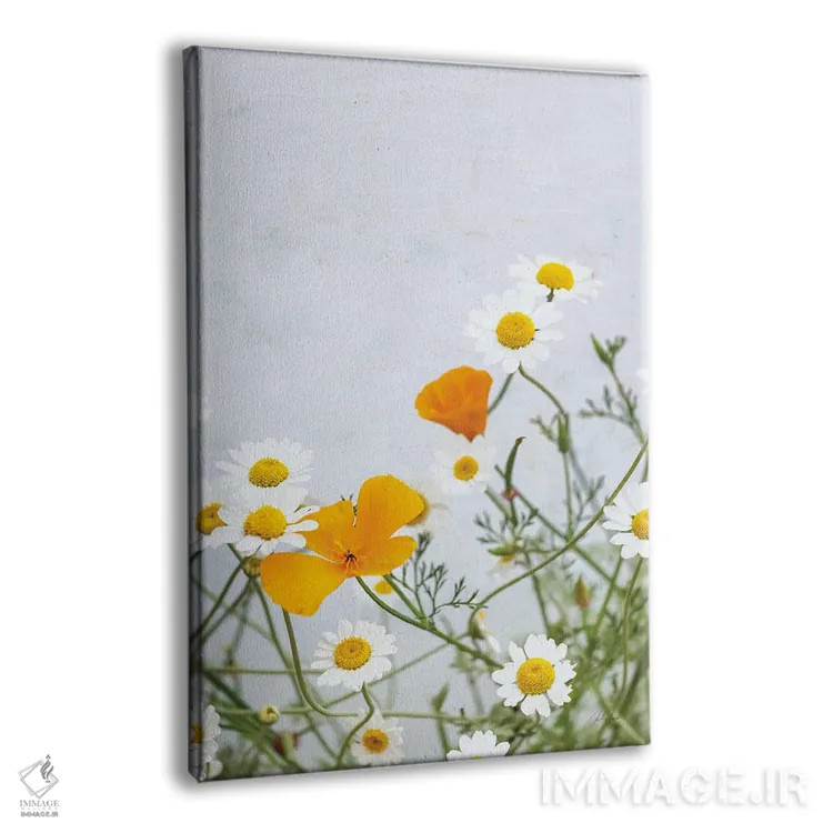 تابلو مینیمال بابونه ها اثر دبورا رول - نمای پرسپکتیو محصول