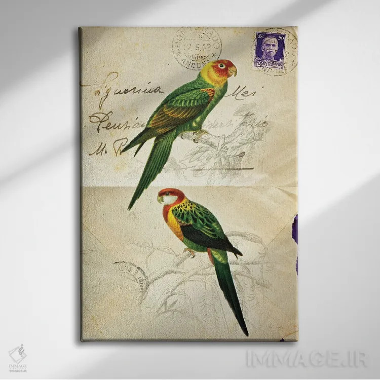 تابلو دکوراتیو پرنده زیبا ۳ اثر دبورا رول - نمای روبهرو روی دیوار