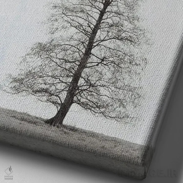 تابلو مینیمال درخت تنها اثر دبورا رول - نمای نزدیک بافت بوم