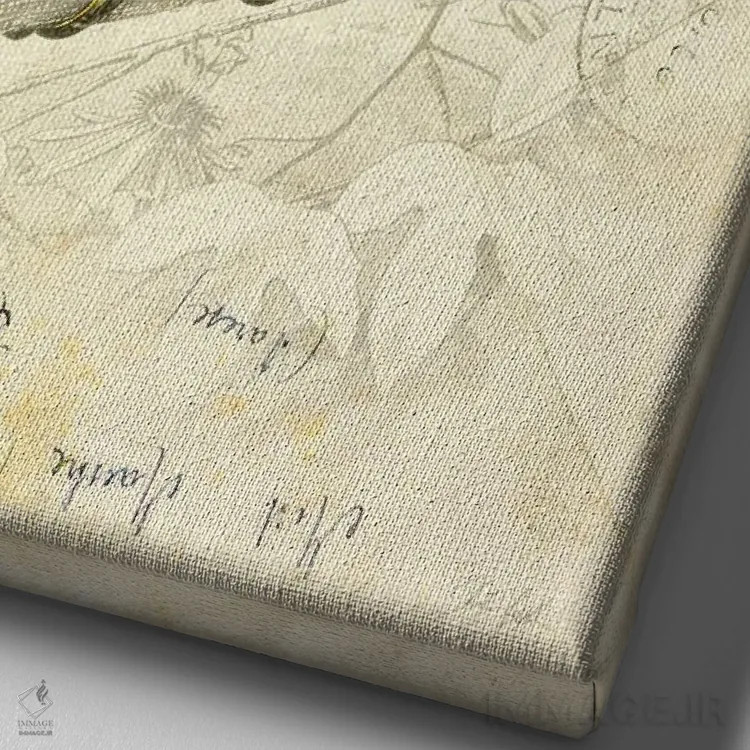 تابلو دکوراتیو پرنده زیبا ۱ اثر دبورا رول - نمای نزدیک بافت بوم