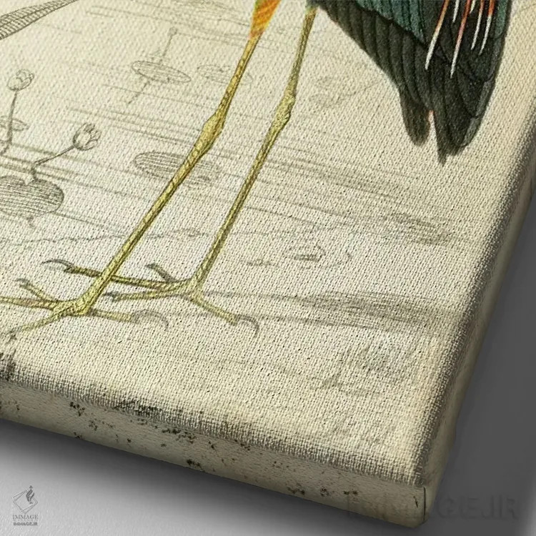 تابلو دکوراتیو پرنده زیبا ۲ اثر دبورا رول - نمای نزدیک بافت بوم