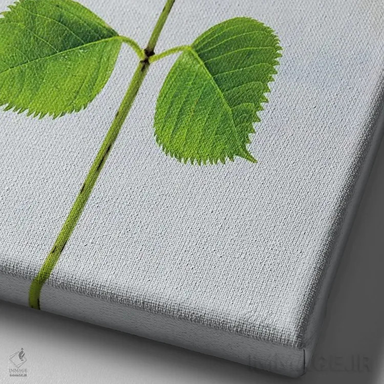 تابلو مینیمال هورتانس کیپ کاد ۱ اثر دبورا رول - نمای نزدیک بافت بوم