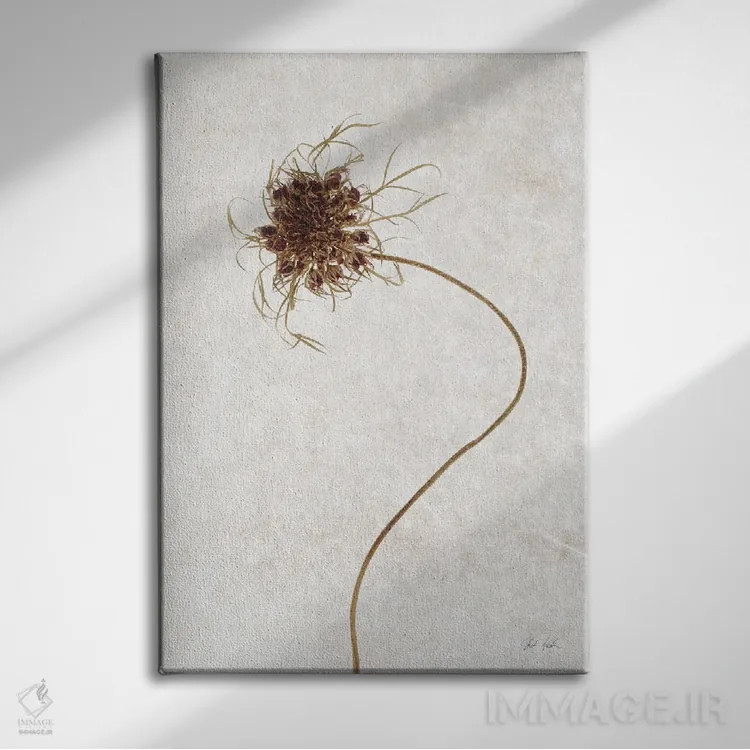 تابلو مینیمال گل خشک ۱ اثر دبورا رول - نمای روبهرو روی دیوار