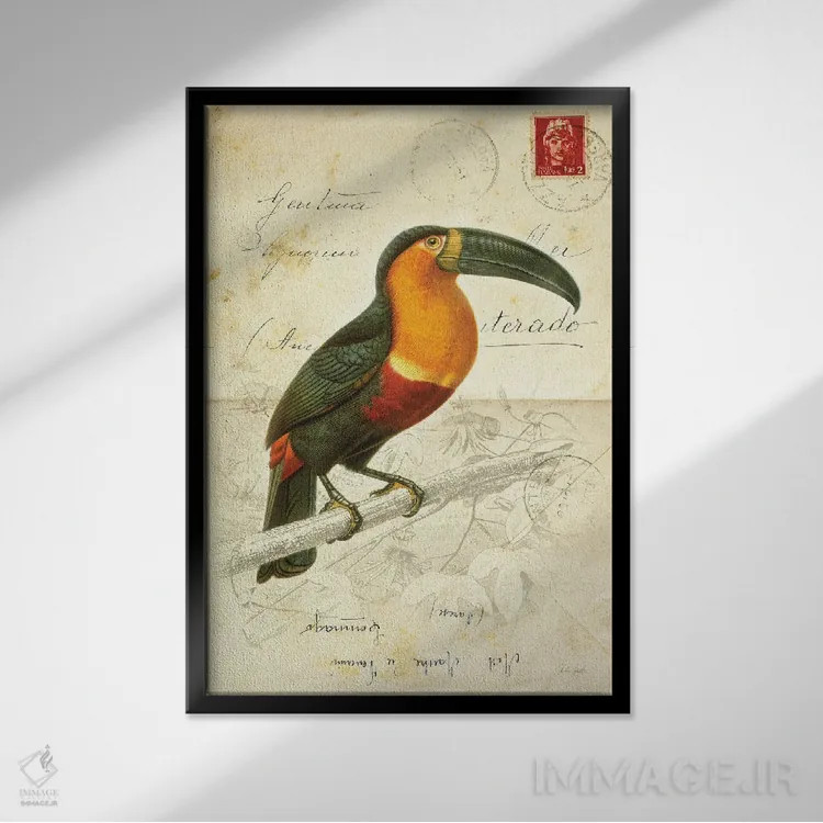 تابلو دکوراتیو پرنده زیبا ۱ اثر دبورا رول - نمای قابدار مشکی