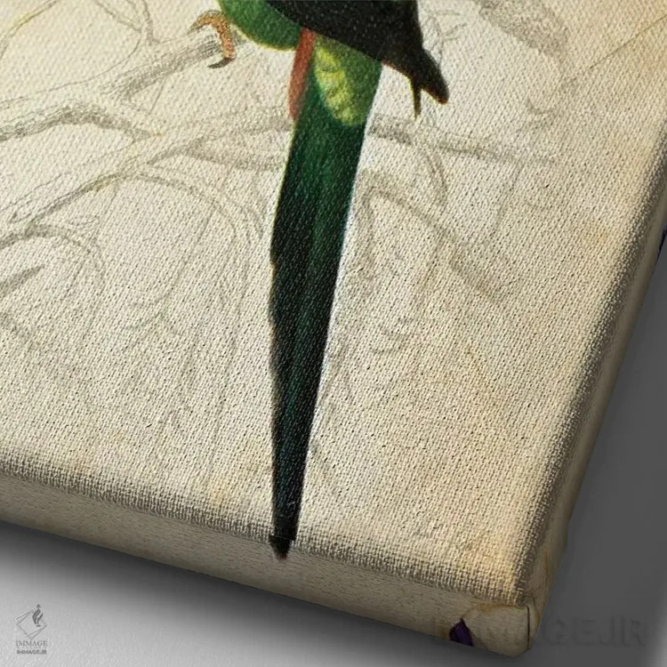 تابلو دکوراتیو پرنده زیبا ۳ اثر دبورا رول - نمای نزدیک بافت بوم