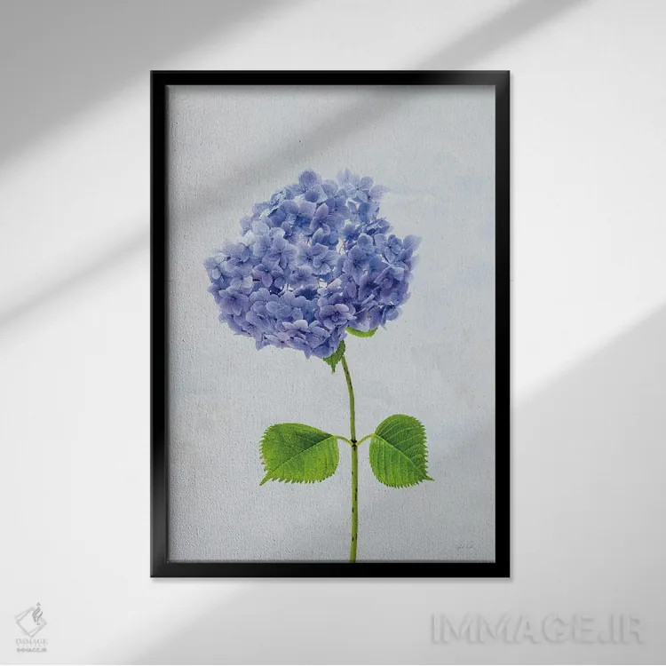 تابلو مینیمال هورتانس کیپ کاد ۱ اثر دبورا رول - نمای قابدار مشکی