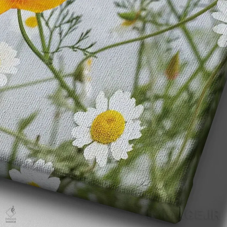 تابلو مینیمال بابونه ها اثر دبورا رول - نمای نزدیک بافت بوم