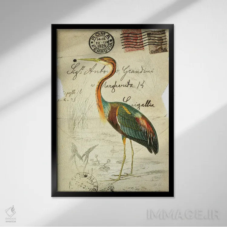 تابلو دکوراتیو پرنده زیبا ۲ اثر دبورا رول - نمای قابدار مشکی