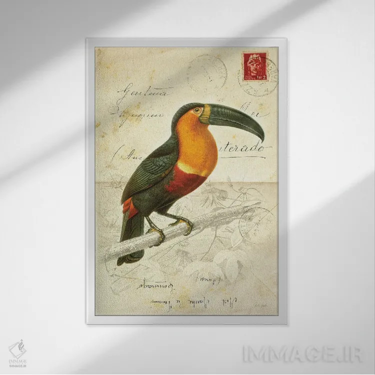 تابلو دکوراتیو پرنده زیبا ۱ اثر دبورا رول - نمای قابدار سفید