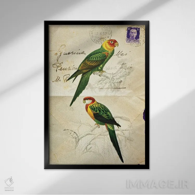 تابلو دکوراتیو پرنده زیبا ۳ اثر دبورا رول - نمای قابدار مشکی