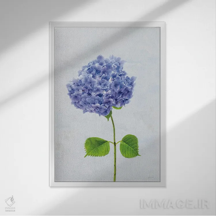 تابلو مینیمال هورتانس کیپ کاد ۱ اثر دبورا رول - نمای قابدار سفید