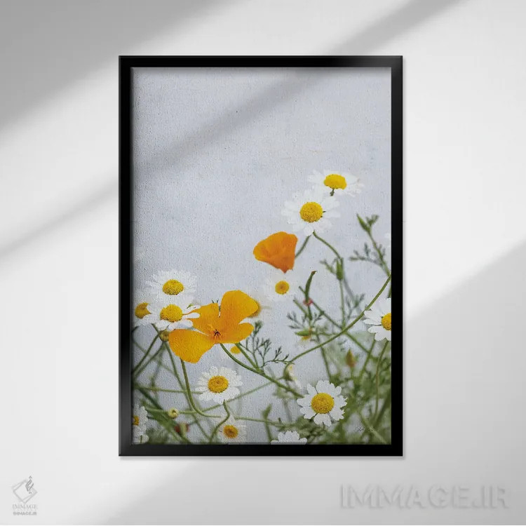 تابلو مینیمال بابونه ها اثر دبورا رول - نمای قابدار مشکی