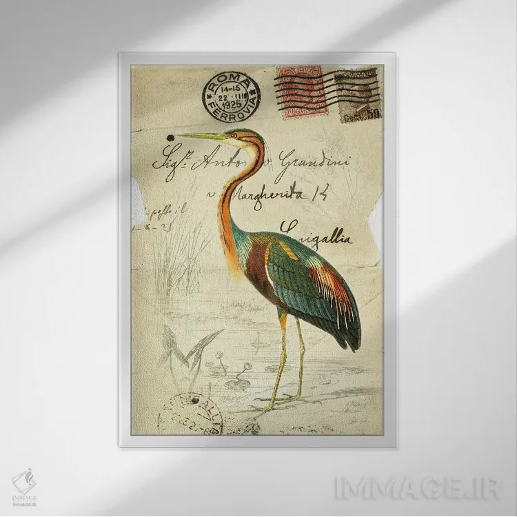 تابلو دکوراتیو پرنده زیبا ۲ اثر دبورا رول - نمای قابدار سفید