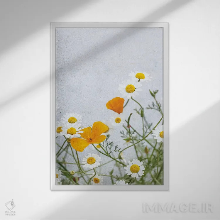 تابلو مینیمال بابونه ها اثر دبورا رول - نمای قابدار سفید
