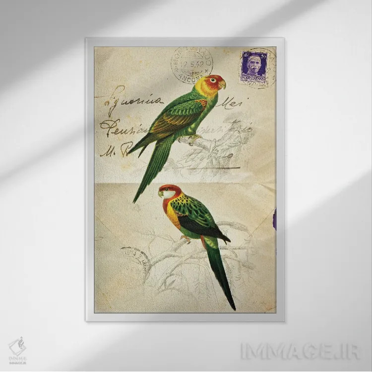 تابلو دکوراتیو پرنده زیبا ۳ اثر دبورا رول - نمای قابدار سفید