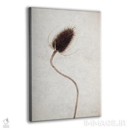 تابلو مینیمال گل خشک ۲ اثر دبورا رول - نمای پرسپکتیو محصول