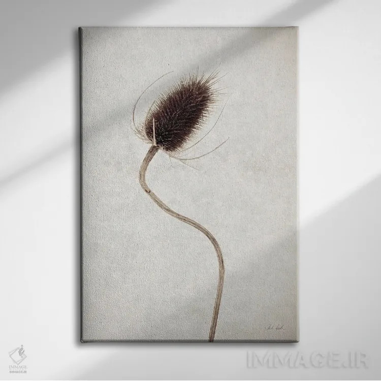 تابلو مینیمال گل خشک ۲ اثر دبورا رول - نمای روبهرو روی دیوار