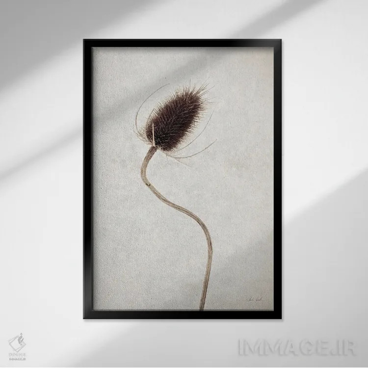 تابلو مینیمال گل خشک ۲ اثر دبورا رول - نمای قابدار مشکی