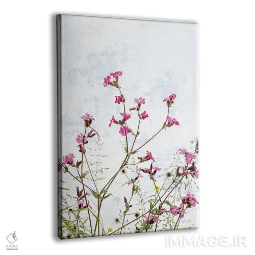 تابلو مینیمال کامپین صورتی اثر دبورا رول - نمای پرسپکتیو محصول