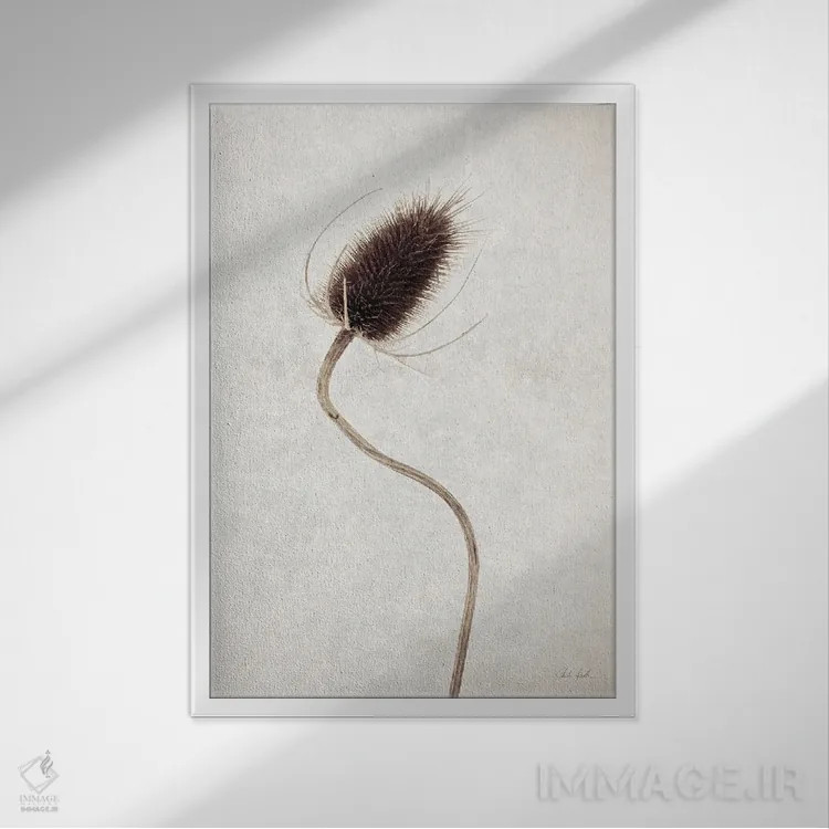 تابلو مینیمال گل خشک ۲ اثر دبورا رول - نمای قابدار سفید