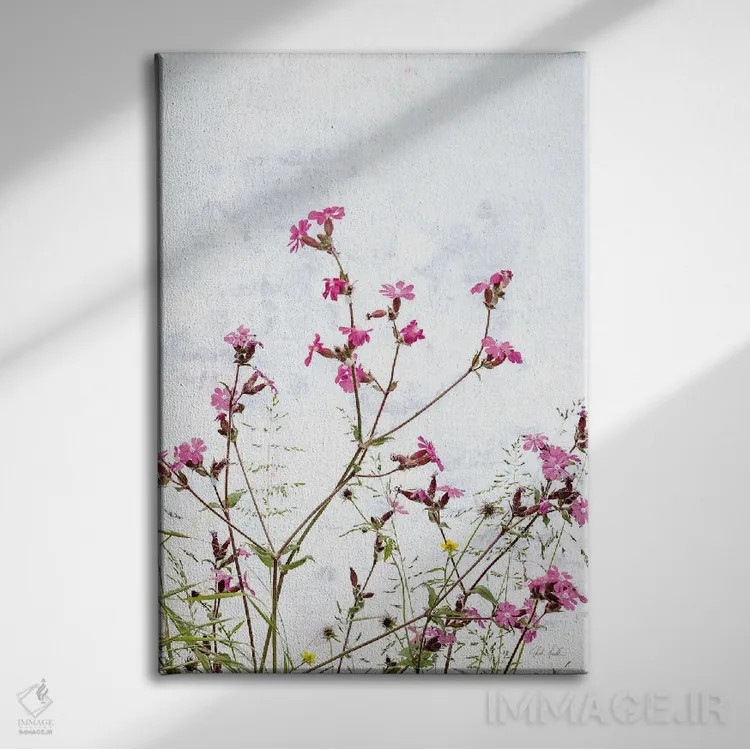 تابلو مینیمال کامپین صورتی اثر دبورا رول - نمای روبهرو روی دیوار