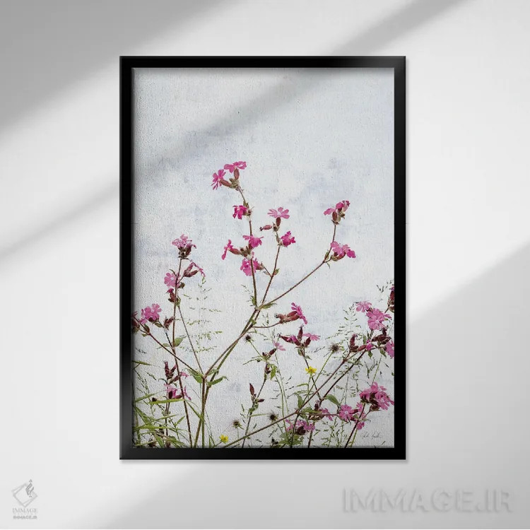 تابلو مینیمال کامپین صورتی اثر دبورا رول - نمای قابدار مشکی