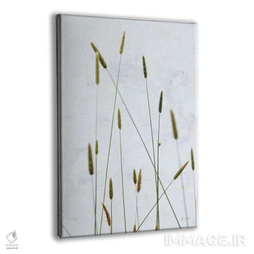 تابلو مینیمال علف تیموتی اثر دبورا رول - نمای پرسپکتیو محصول
