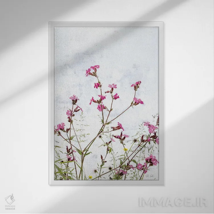 تابلو مینیمال کامپین صورتی اثر دبورا رول - نمای قابدار سفید