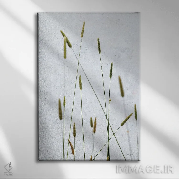 تابلو مینیمال علف تیموتی اثر دبورا رول - نمای روبهرو روی دیوار