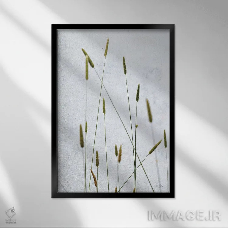 تابلو مینیمال علف تیموتی اثر دبورا رول - نمای قابدار مشکی