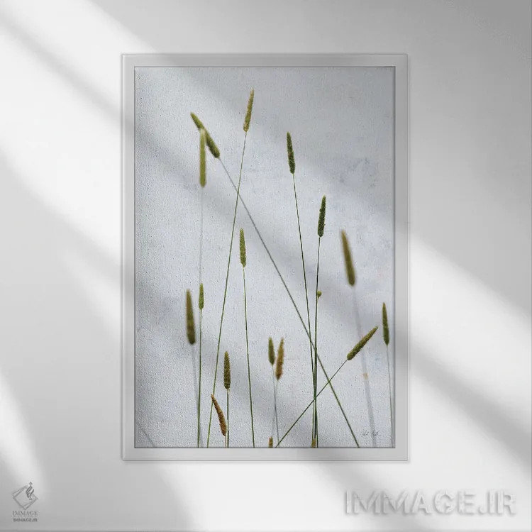تابلو مینیمال علف تیموتی اثر دبورا رول - نمای قابدار سفید