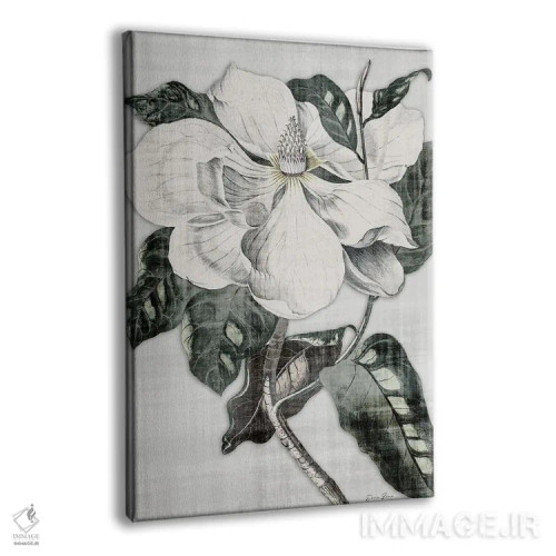 تابلو مینیمال مگنولیای جنوبی ۱ اثر دنیس براون - نمای پرسپکتیو محصول