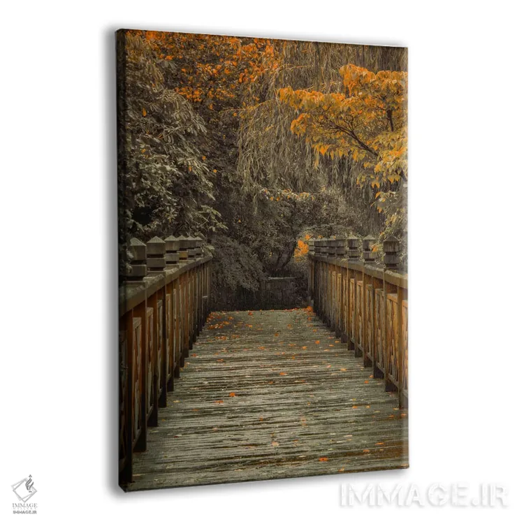 تابلو دکوراتیو آن سوی پل اثر دان شوارتز - نمای پرسپکتیو محصول